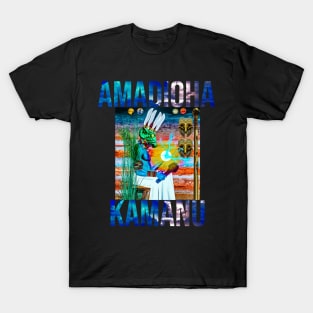 African Gods : AMADIOHA By SIRIUS UGO ART T-Shirt